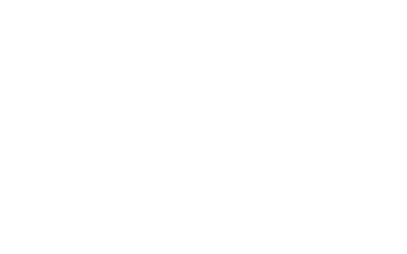 3D Laserscan  	Bestandsaufnahmen 	jedes noch so kleine Detail wird erfasst und dokumentiert 	die gewonnenen Daten stehen jederzeit und kurzfristig zur Verfgung   	Beweissicherungssans 	z.B. im Stahlbau fr die passgenaue Planung und zur exakten Schwachstellenanalyse   	Erstellung von 3D Modellen und 2D Plnen 	TruViews (erzeugte Rundumbilder aus der gewonnenen Punktwolke) 	ohne das Herunterladen einer Software knnen diese von berall         und jederzeit angesehen werden